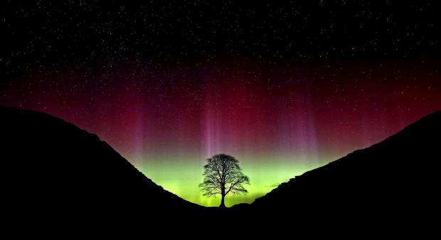 The Northern Echo: The Northern Lights put on a display at Sycamore Gap Hadrian's Wall in Northumberland. Picture: Owen Humphreys/PA